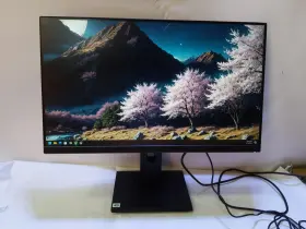 193199184900 ACER Led Lcd Monitor