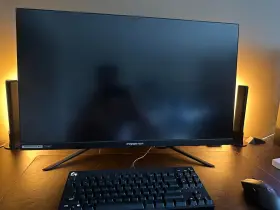 UM.JX3AA.V01 ACER Predator Gaming Monitor #3