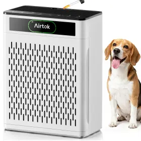 B0FH8WVPBN AIRTOK Air Up Purifier