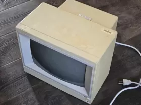 A2M6021 APPLE Applecolor Monitor Iie #2
