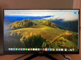 277302 ASUS Tuf Gaming Ips Fhd Freesync Monitor
