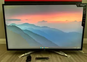 313097933909 ASUS Rog Strix Gaming Monitor Freesync
