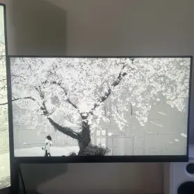 VP249QGR ASUS Gaming Monitor #2