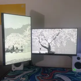 VP249QGR ASUS Gaming Monitor #3