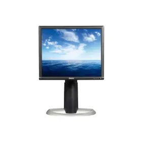 1703FPS DELL Lcd Monitor