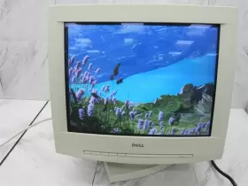 04512R DELL Vga Gaming Crt Monitor