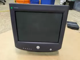 04D133 DELL Crt Trinitron Vga Monitor Gaming
