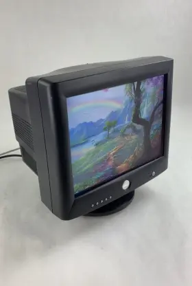 08G157 DELL Flat Crt Vga Monitor Gaming