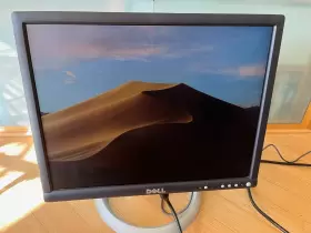 2001FP DELL Ultrasharp Dvi Vga Video Gaming Monitor Ac
