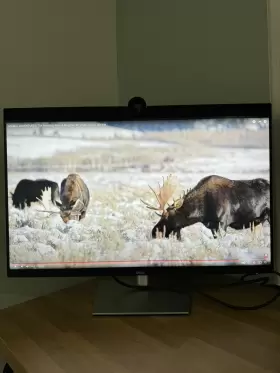 210-BDPH DELL Ultrasharp Uhd Ips Led Monitor