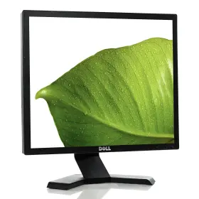 469-0051 DELL Flat Panel Screen Lcd Monitor