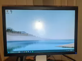 469-0052 DELL Lcd Monitor
