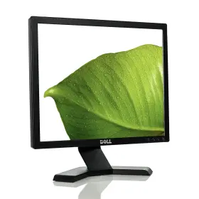 E170S DELL Flat Panel Monitor