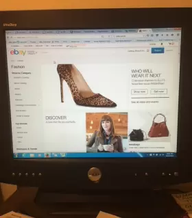 2000FP DELL Ultrasharp Flat Panel Monitor