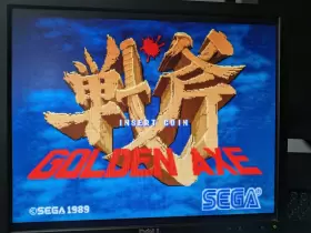 9M62C DELL Lcd Great Monitor Gaming Mame Emulators #2