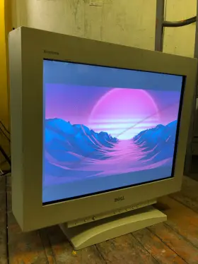 20250606 DELL Kg Sony Trinitron Ultrascan Flat Screen Crt Vga