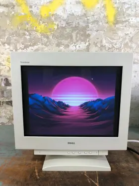 20240730 DELL Cb Trinitron Ultrascan Crt Monitor Gaming