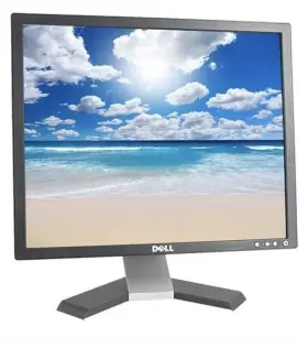 CN084 DELL Lcd Monitor