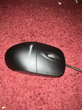 E1319S DELL Monitor Mouse Keyboard Vga Cable Power Cord #3