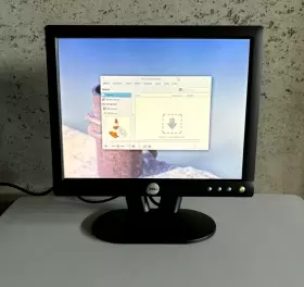 E152FPG DELL Flat Monitor Tft Lcd Power Vga Cables