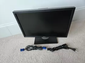 E1909WB DELL Flat Panel Lcd Widescreen Dvi Vga Monitor