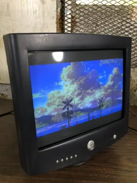 20250604 DELL Kg Crt Monitor Gaming