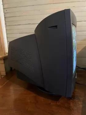 P0151 DELL Crt Vga Monitor Gaming #3