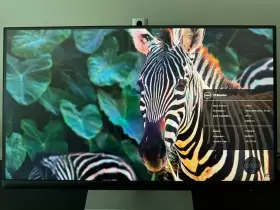 P2223HC DELL Usb Lcd Monitor