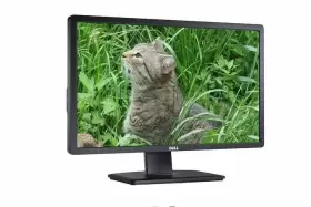 P2412 DELL Widescreen Vga Dvi