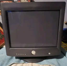 P793 DELL Monitor Great #2