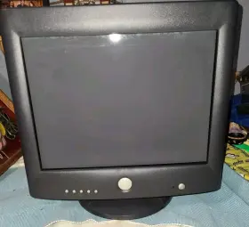 P793 DELL Monitor Great