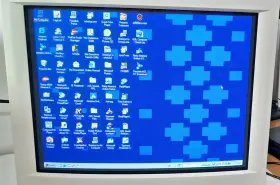 P990 DELL Sony Trinitron Ultrasharp Flat Screen Crt Monitor