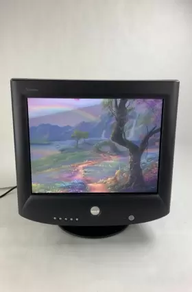 P992 DELL Trinitron Crt Vga Monitor Gaming #2