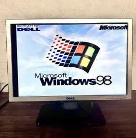 S199 DELL Lcd Widescreen Monitor Flat Panel Vga Dvi