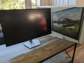 S3219D DELL Monitor