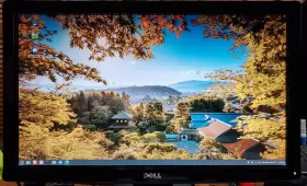 ST2210B DELL Lcd Monitor Hdmi Widescreen