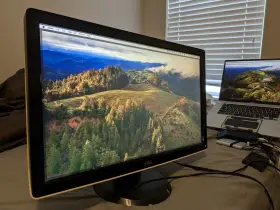 ST2310F DELL Lcd Monitor Great