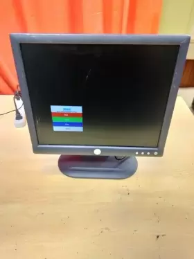 VNO972 DELL Vga Monitor