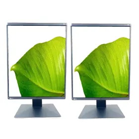 RX560 EIZO Dual Radiforce Led Backlit Ips Medical Radiology