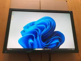 S2433W EIZO Dp Dvi Vga Display Up Milwaukee