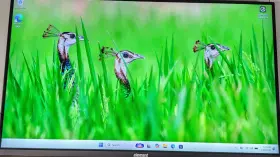 810649034379 ELEMENT Display Frameless Monitor