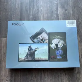 738879800833 FOOWIN Monitor Fhd Display Ips Dual