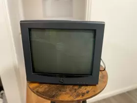 VX755 GATEWAY Flatscreen Crt Monitor Vga