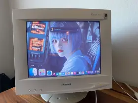 E17AL HANSOL Mazellan Crt Vga Monitor