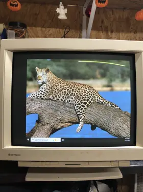 CM2187MU HITACHI Vga Crt Gaming Monitor