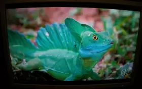 EF224A4 HP Aba Lcd Monitor #2