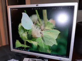 EF227A HP Ips Lcd Monitor Lp Display Dvi Stand #2