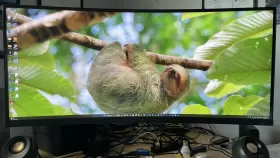 Z4W65A8 HP Aba Curved Led Lcd Display Uwqhd Head