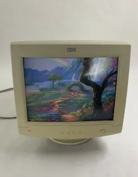 087944697701 IBM Crt Vga Monitor Gaming #2