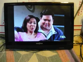 NS-19E320A13 INSIGNIA Led Tv